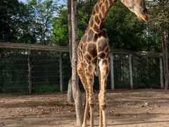-清迈夜间动物园