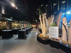 -香市公园-中国沉香文化博物馆