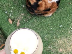 -喜柿咖啡SeeS coffee