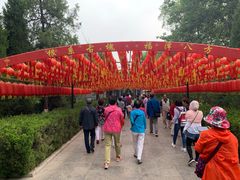 -大槐树寻根祭祖园