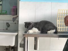 -畜牧兽医站(共江路店)