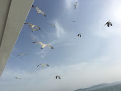 -长岛南北长山旅游景区
