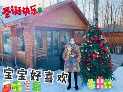 -禧宴Joyous Restaurant(禧园店)