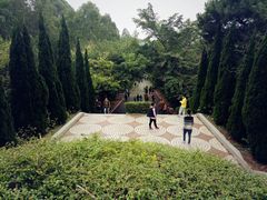 -三水森林公园