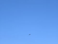 -东钱湖旅游度假区