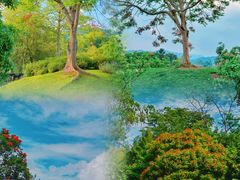 -中国科学院西双版纳热带植物园
