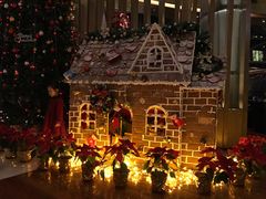 -上海滴水湖皇冠假日酒店