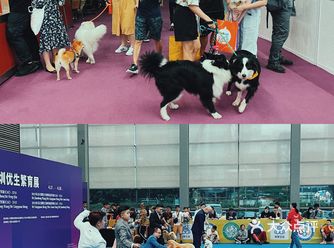 打卡深圳宠物展2021