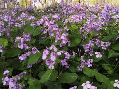 -白塘生态植物园