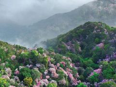 -梧桐山风景名胜区