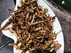 崩肝-回真楼(东门店)
