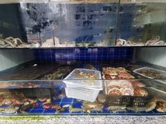 -东海章鱼馆(恒瑞街店)