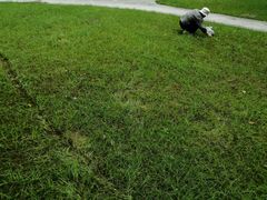 -经纬·泓汇地标家园