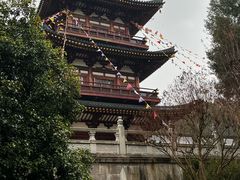 -庐山风景名胜区-东林大佛