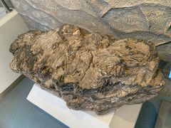 -延庆地质公园博物馆