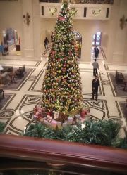 -大连城堡豪华精选酒店·宴会厅