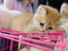 -万达广场(泰安泰山店)