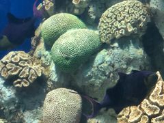 -福州罗源湾海洋世界旅游区