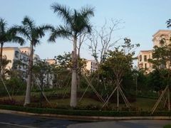 -艾溪湖湿地公园