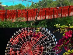 -三亚蜈支洲岛旅游区