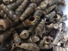 -宾朋海鲜特色美食餐厅·纯手工鲅鱼水饺(兴海路店)