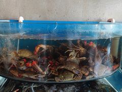-蓝珊甄选海鲜自助·火锅大排档(近阿那亚店)
