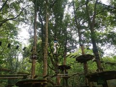 -WeLope紫金山探险公园