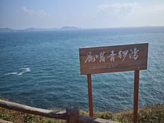 -杨梅坑