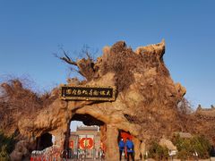 -大槐树寻根祭祖园