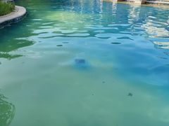-秦皇岛阿尔卡迪亚滨海度假酒店