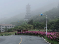 -大围山国家森林公园