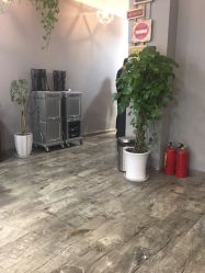 -青禾造型&刺青