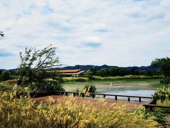 -良渚古城遗址公园
