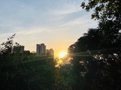 -福道
