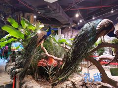 -正佳雨林生态植物园