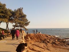 -青岛第二海水浴场