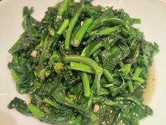 清炒白菜苔-湖锦酒楼·湖北菜(八一路店)