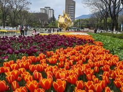 -玄武湖景区-情侣园游乐场