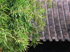 -个园