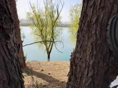 -青龙湖公园