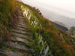-紫鹊界梯田景区