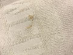 -威尔仕健身(金茂店)