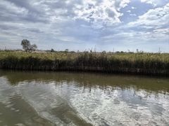 -宁波杭州湾国家湿地公园