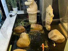 -乐尚音乐空间·钢琴·声乐·架子鼓(会展中心店)