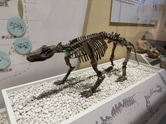 -国家自然博物馆