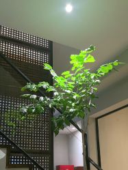 -香秀空间科技抗衰·美容中心