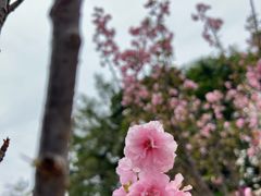 -观澜湖生态运动公社