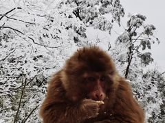 -峨眉山风景名胜区