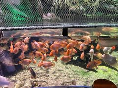 -太平洋海底世界