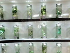-南宁市科技馆